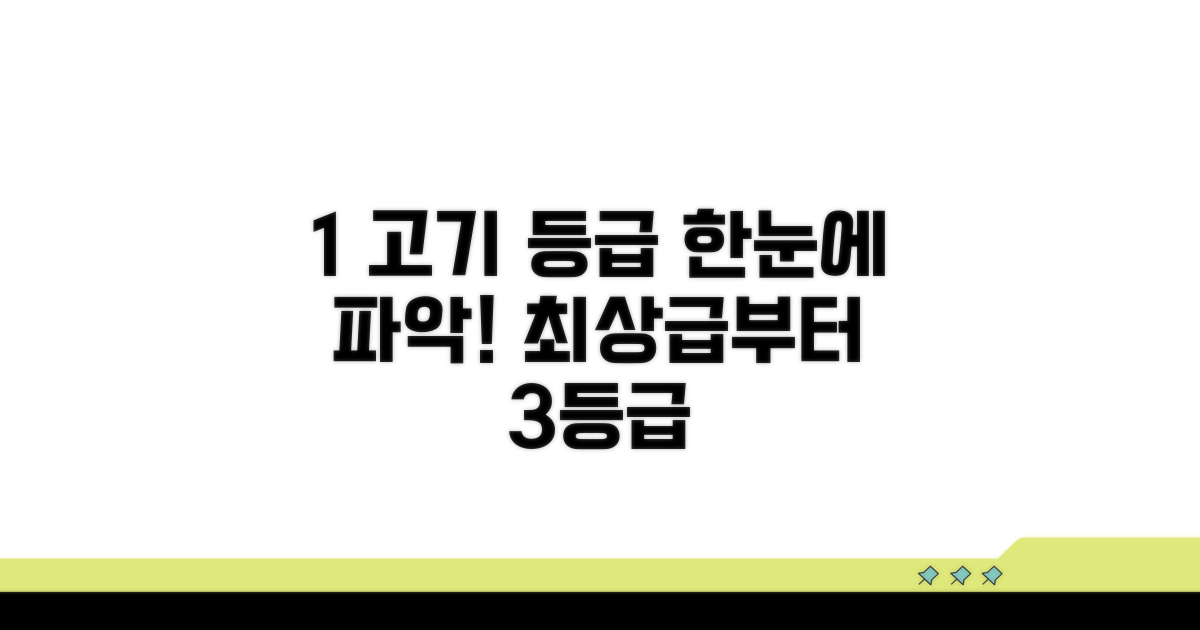 1++부터 3등급까지 기준