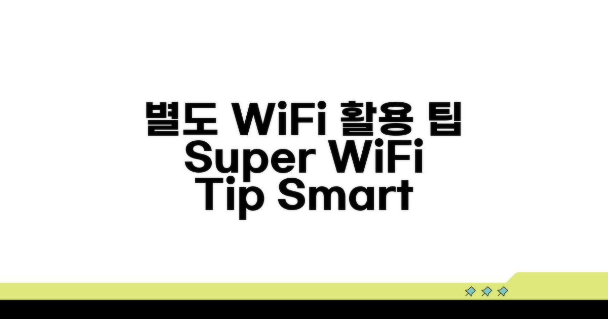 별도 WiFi, 활용 팁까지
