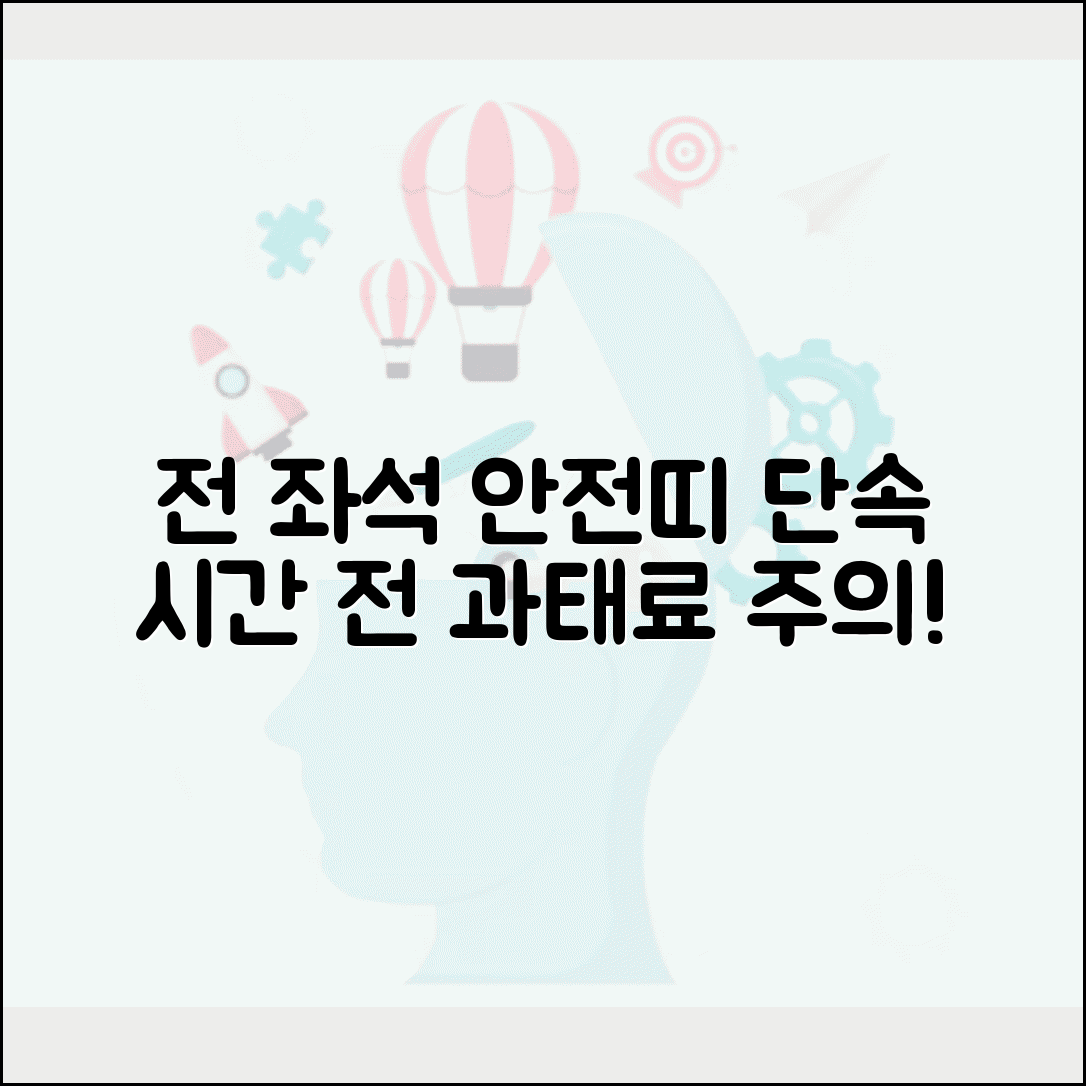 안전띠 단속시간 전 좌석 | 전 좌석 안전띠 착용 의무 단속과 과태료 부과