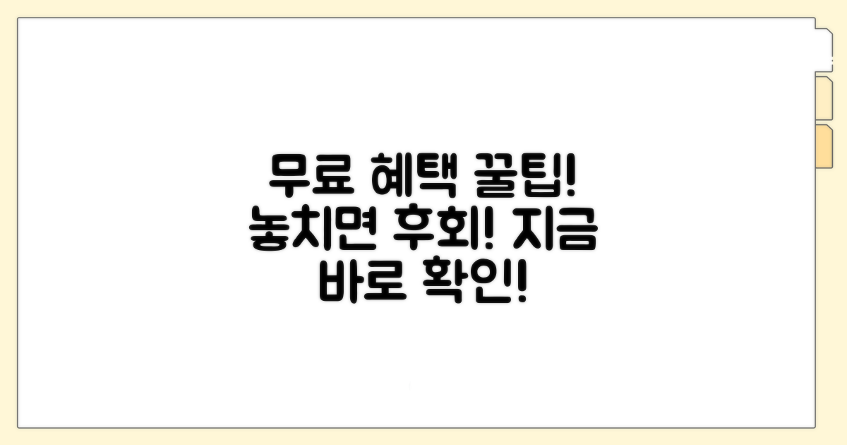 무료 서비스 혜택 상세 분석