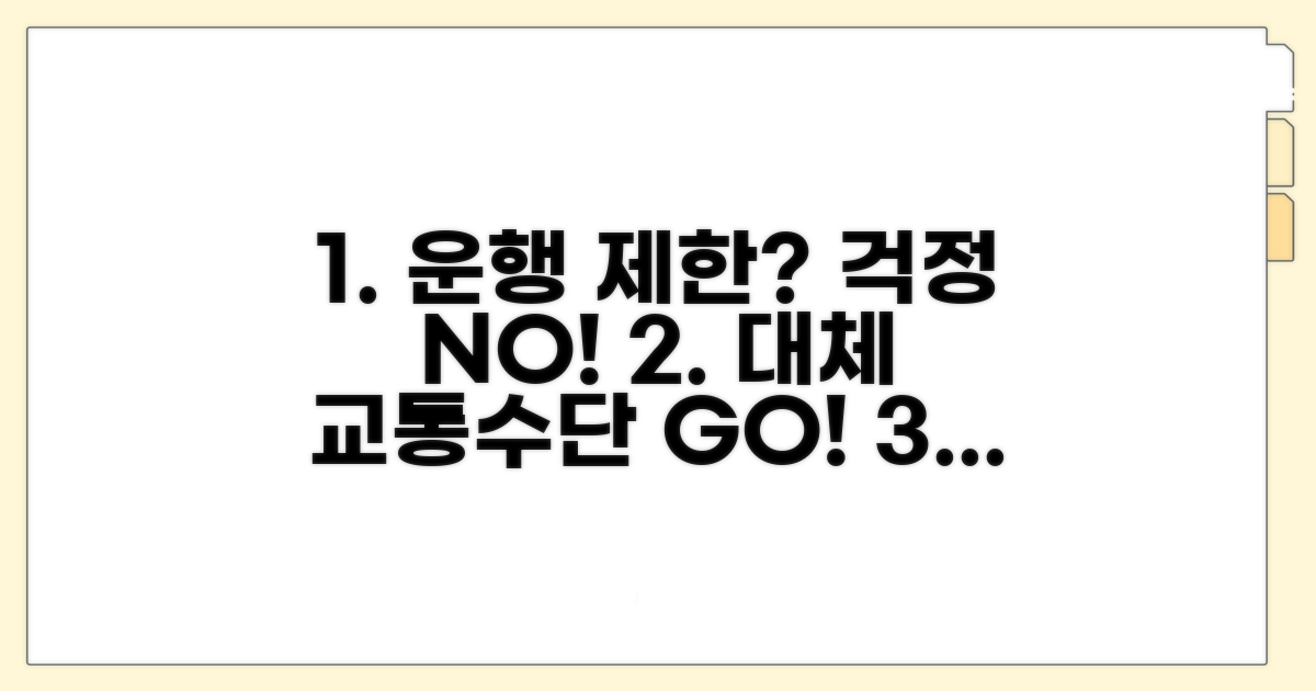 운행 제한 시 대체 교통수단 활용