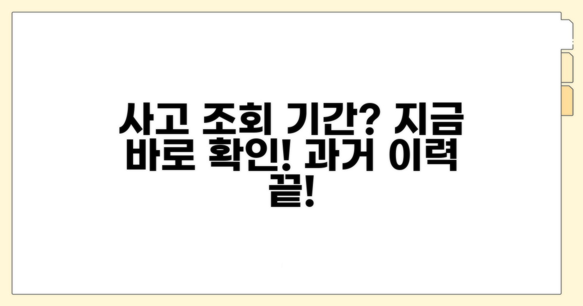 과거 사고 이력, 조회 기간은?