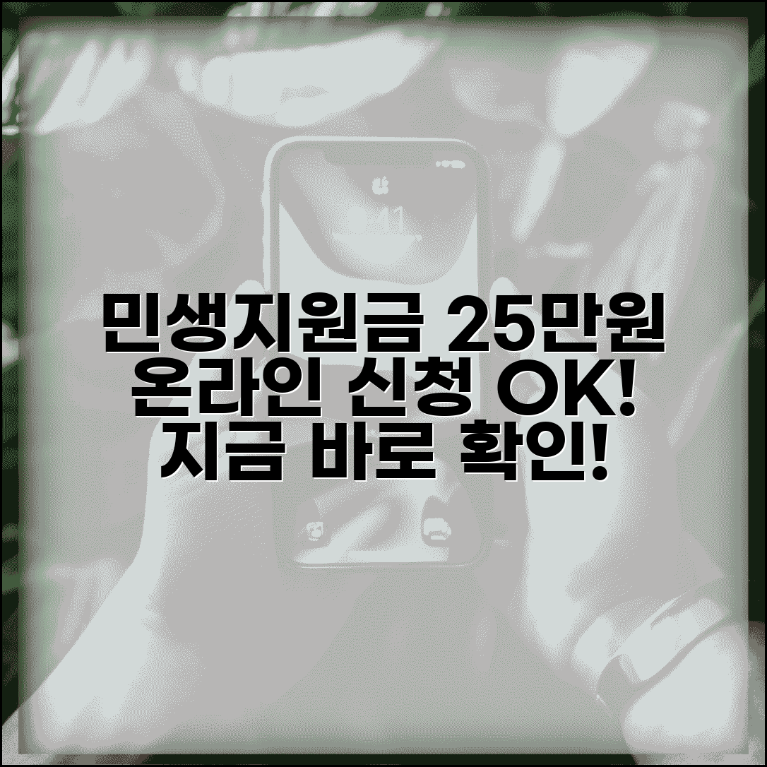 지원금 25 만원 신청 | 민생회복지원금 25만원 온라인 신청법