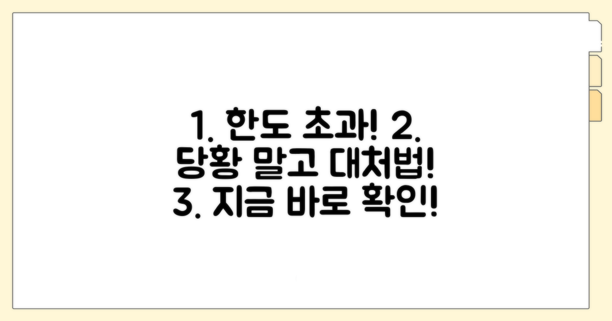 한도 초과 시 대처 방법