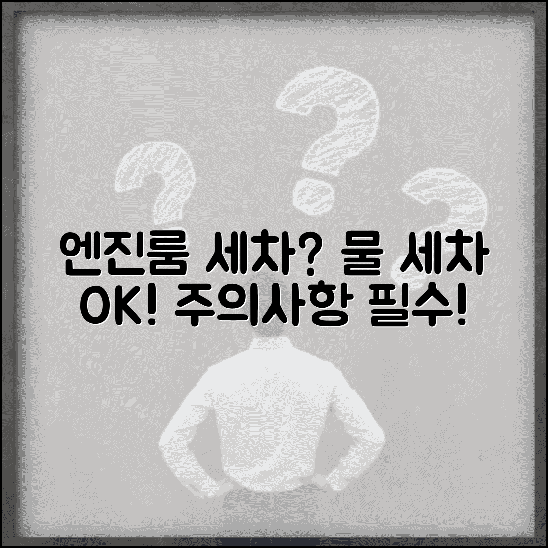 자동차 엔진룸 세차 방법 물 세차 가능? | 차 엔진 룸 청소 주의사항