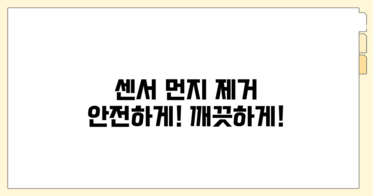 안전하게 센서 먼지 제거하기