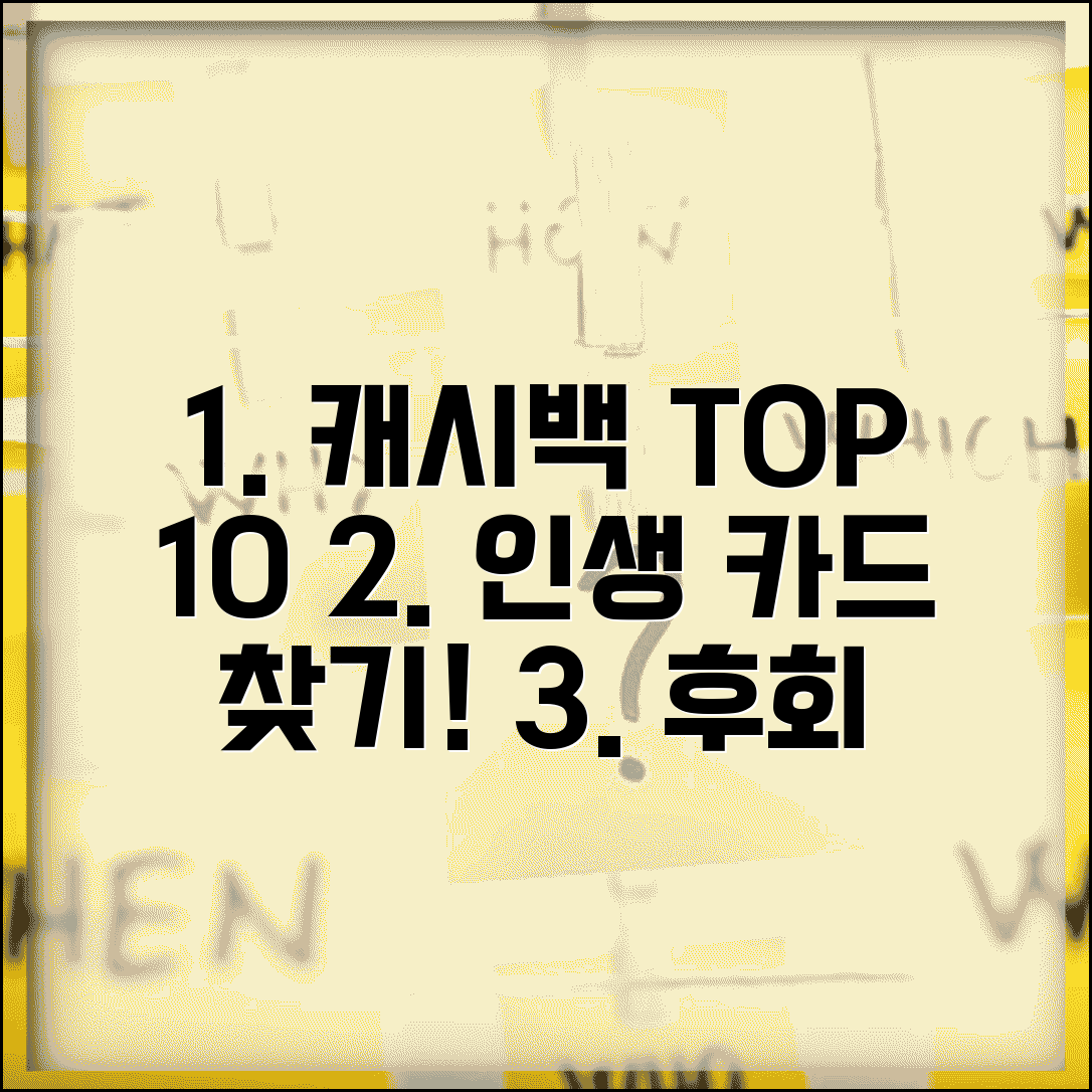 캐시백 신용카드 순위 | 최고 캐시백 카드 완벽비교