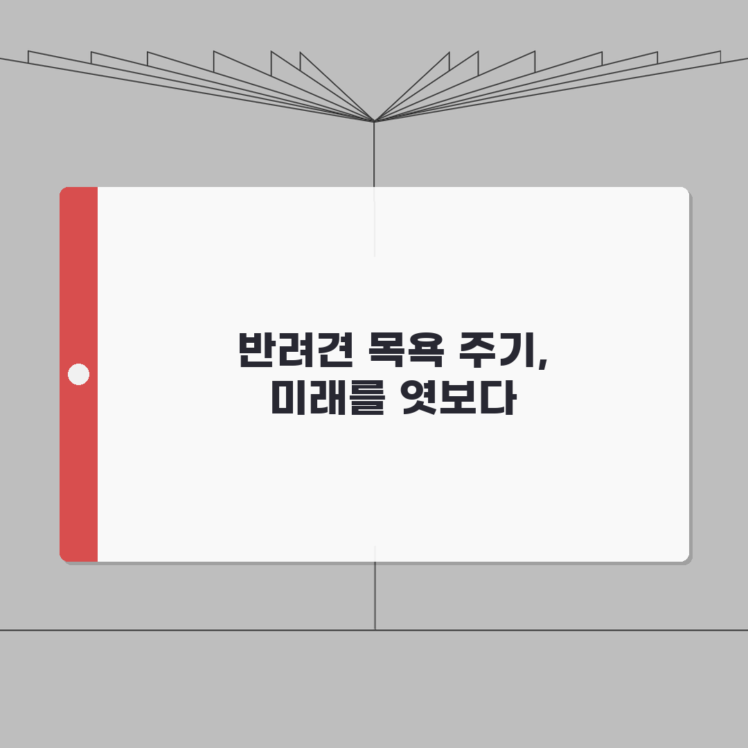 강아지 목욕 얼마나 자주 시켜야 하는지 | 반려견 목욕 주기와 방법 총정리, 5가지 핵심