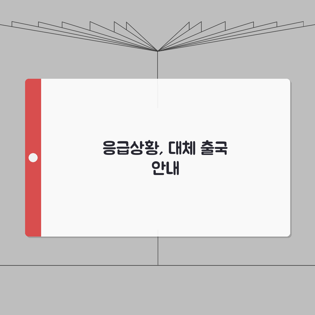 인천공항 스마트패스 응급상황 대처 | 시스템 장애시 대체 출국절차 완벽가이드: 5가지 핵심
