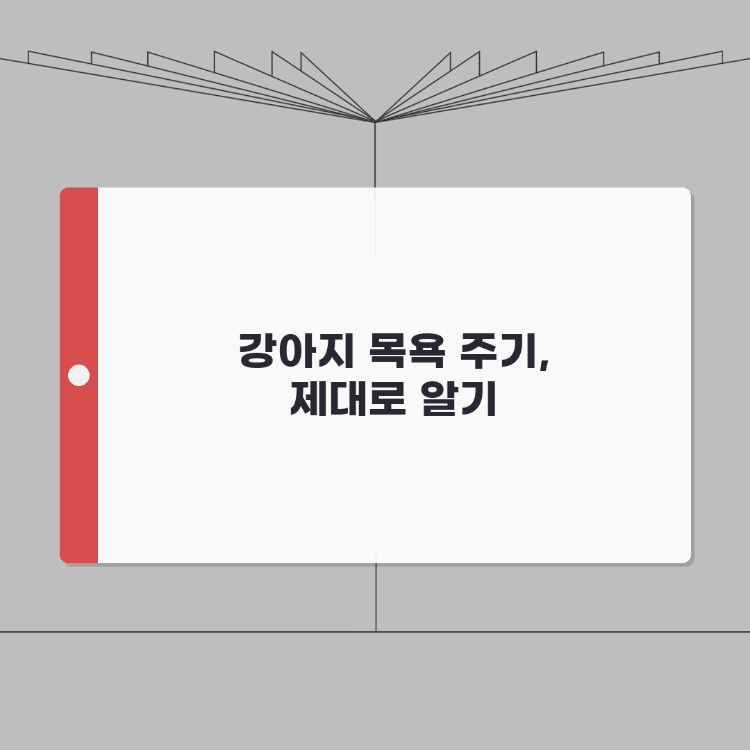 강아지 목욕 얼마나 자주 시켜야 하는지 | 반려견 목욕 주기와 방법 총정리, 5가지 핵심