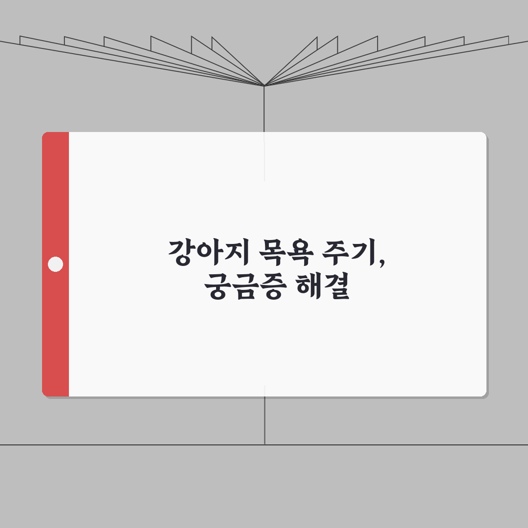 강아지 목욕 얼마나 자주 시켜야 하는지 | 반려견 목욕 주기와 방법 총정리, 5가지 핵심