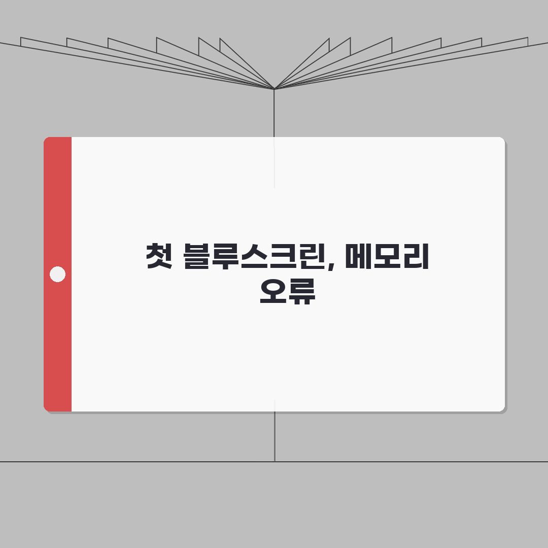 메모리 관리 오류 0x0000001A | Memory Management 블루스크린 직접