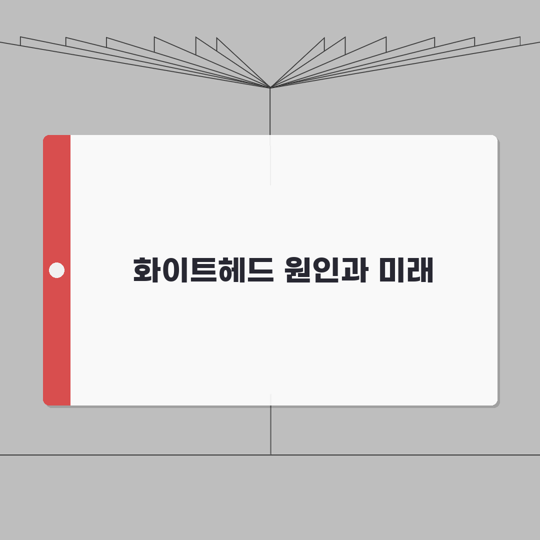 여드름 원인 종류 화이트헤드 | 여드름 원인 피지 모공 솔직후기, 직접 해보니 이랬어요