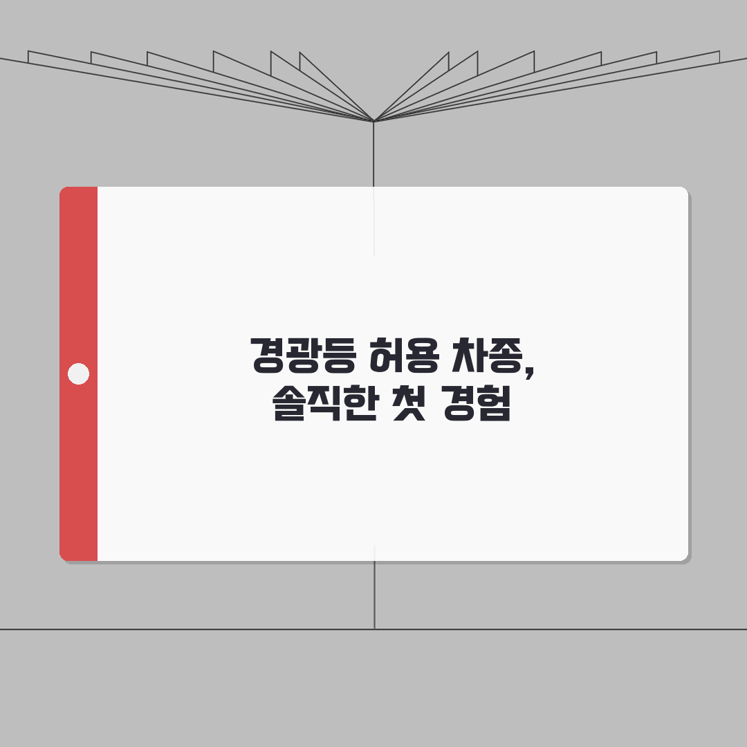 경광등 장착 허용 기준 차종 | 경광등 회전등 장착 가능 차종 직접 해봤어요