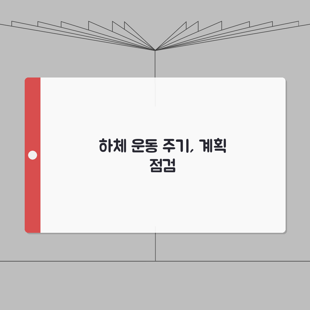 하체 운동 주기 일주일 몇 번 | 하체 운동 적정 주기 직접 해봤어요