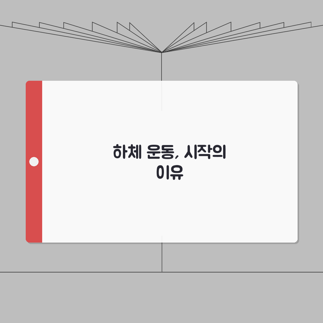 하체 운동 주기 일주일 몇 번 | 하체 운동 적정 주기 직접 해봤어요