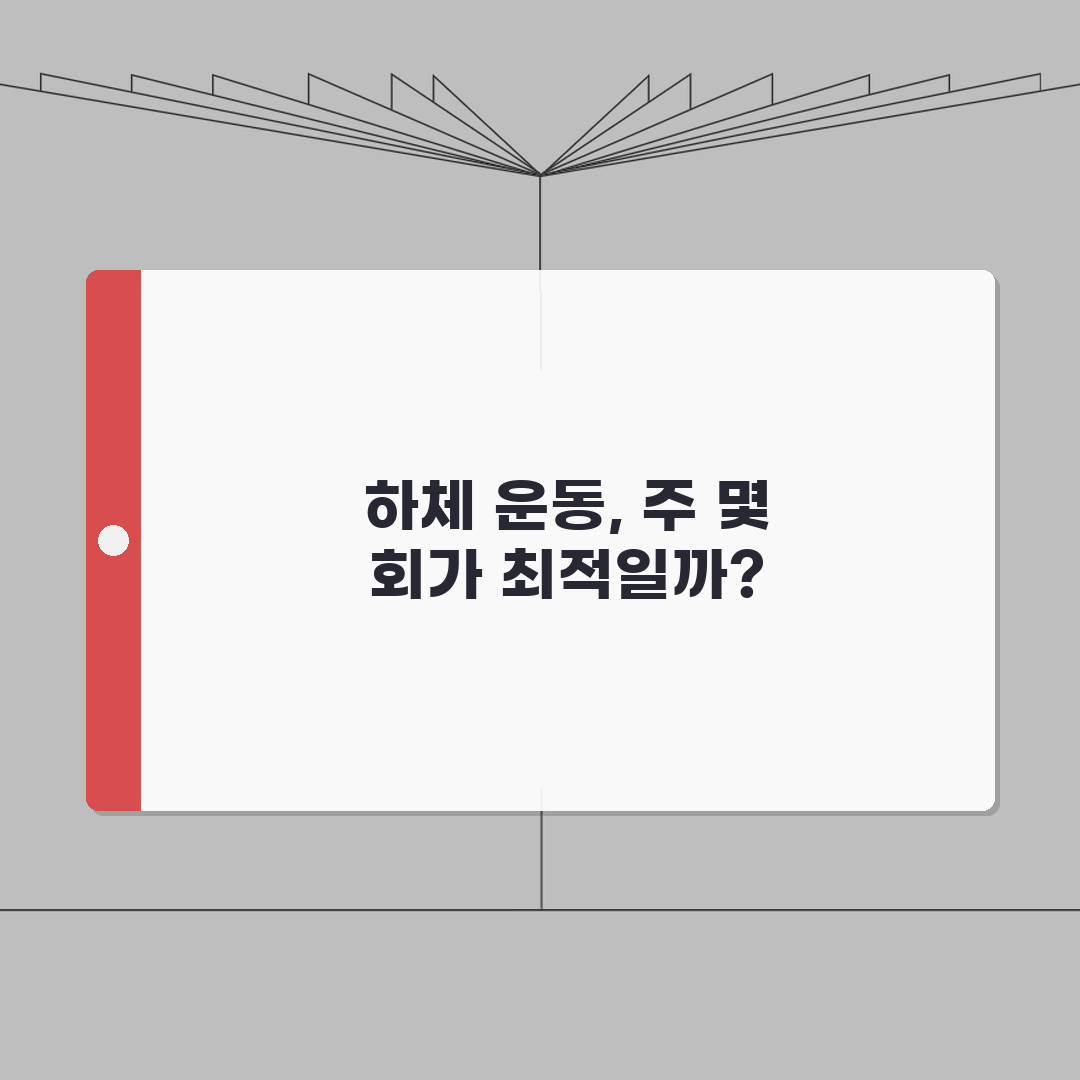 하체 운동 주기 일주일 몇 번 | 하체 운동 적정 주기 직접 해봤어요